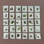 Trabzon üniversitesi